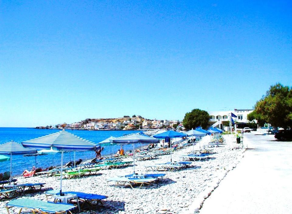 Libyan Animus - Center Of Daire